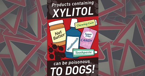 Is Xylitol Bad for Dogs
