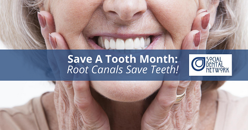 Save A Tooth Month Root Canals Save Teeth